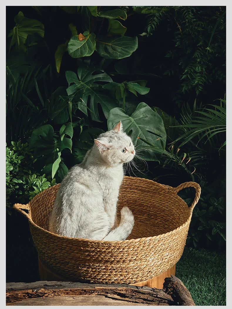 Handmade Bamboo Cat Bed Scratch Board