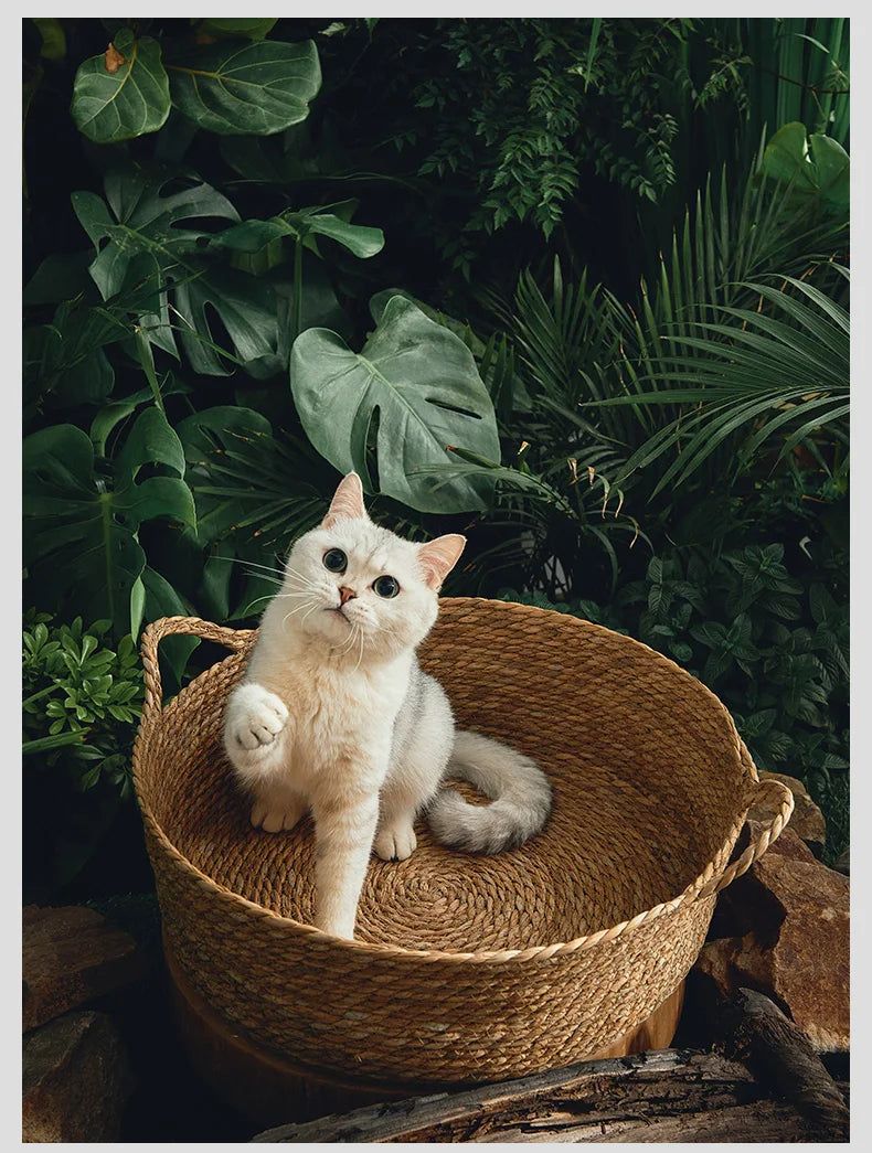 Handmade Bamboo Cat Bed Scratch Board