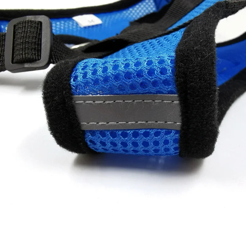 Dog Mesh Adjustable Harness & Leash
