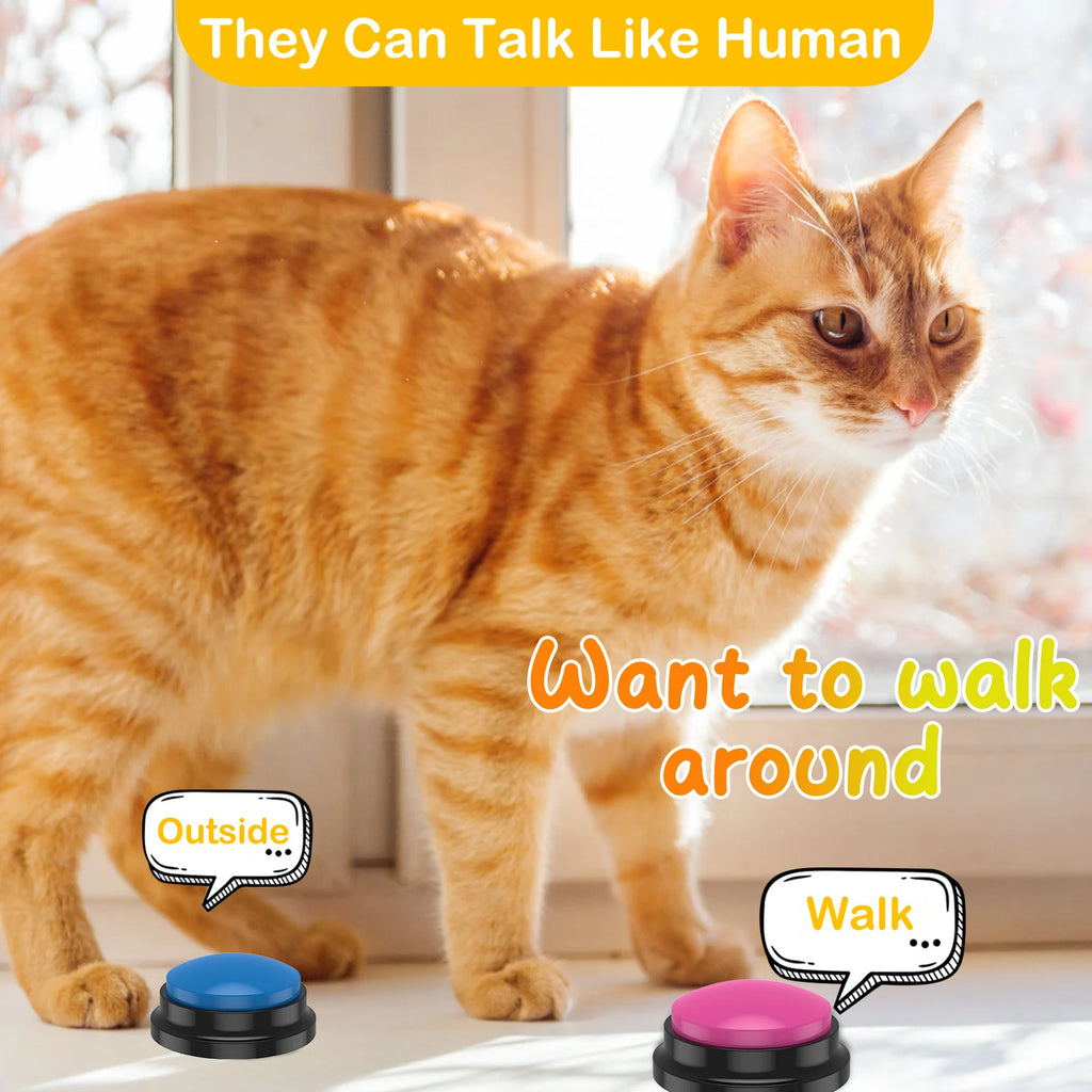Teach Dogs How to Communicate With You