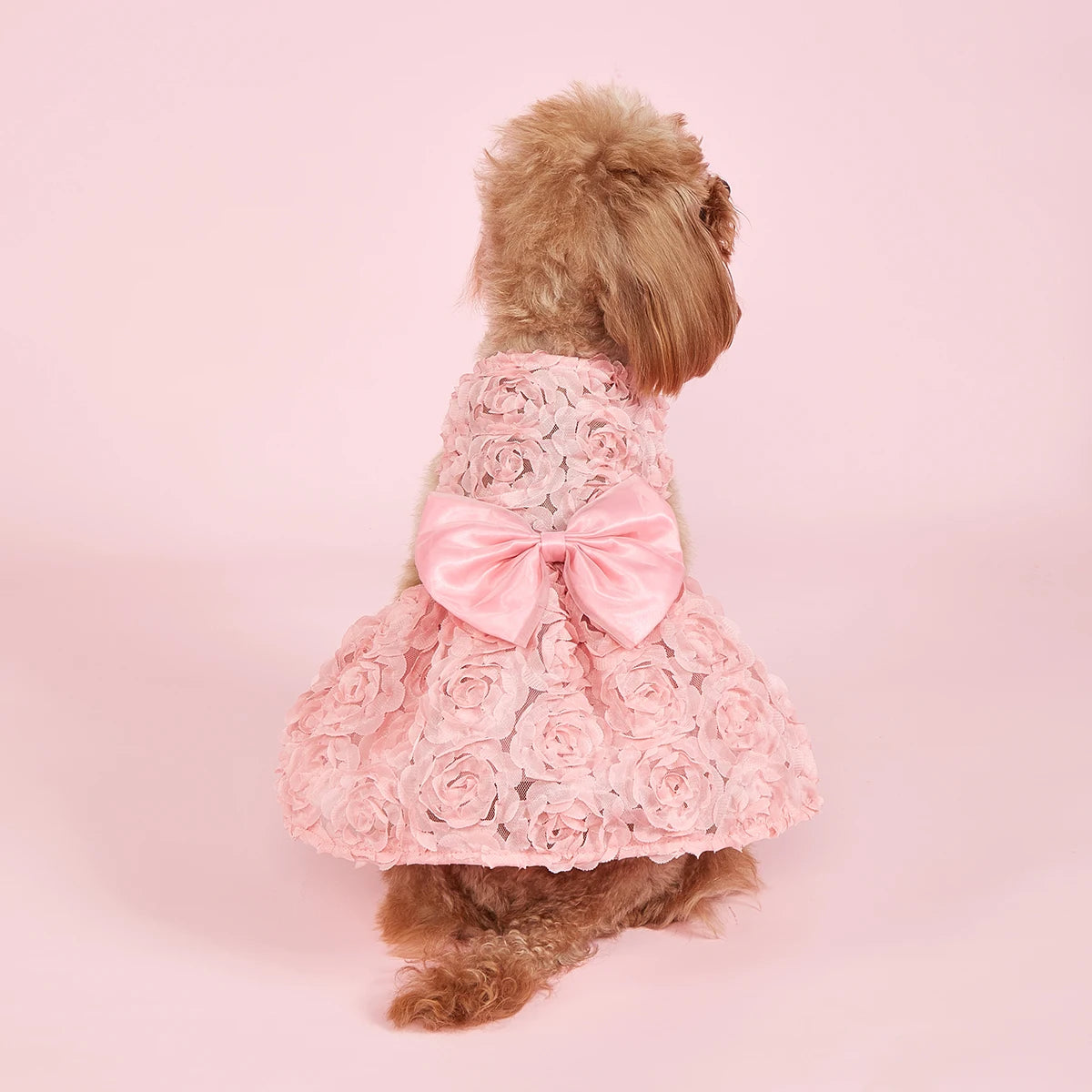 Dog Princess Dress Embroidered Flowers