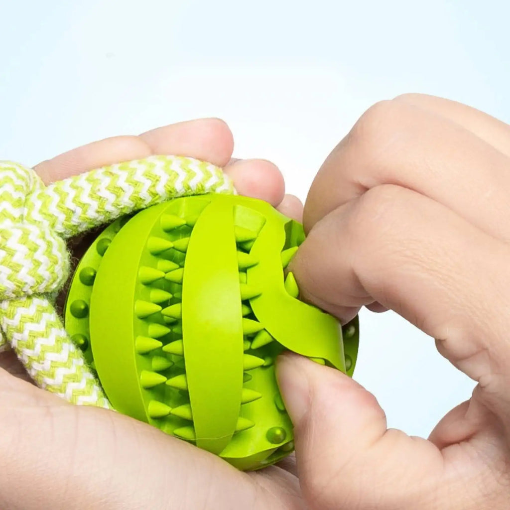 Dog Training Treat Ball, Interactive Educational Toy