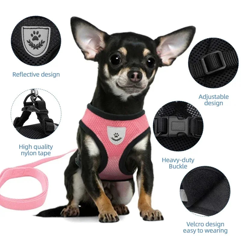 Cat Walking Vest Harness & Leash