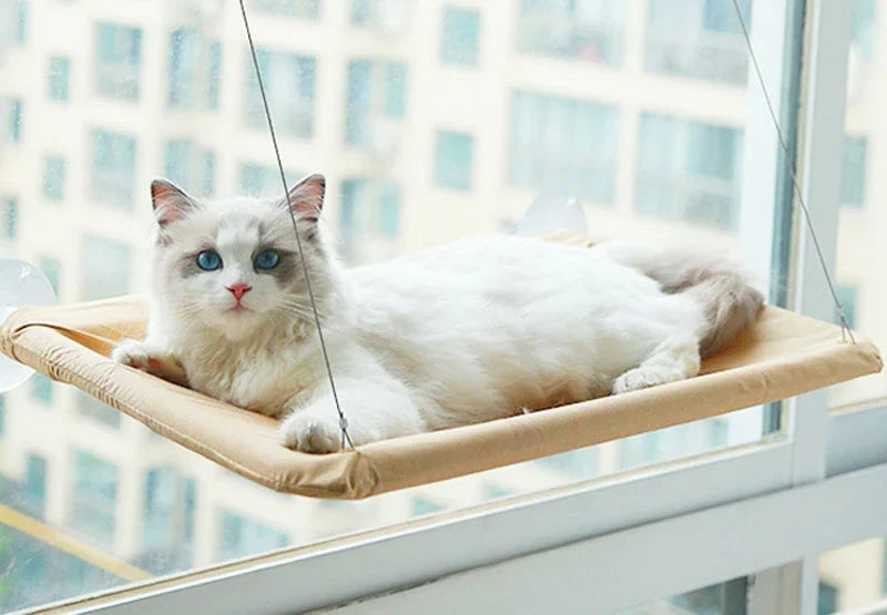 Sunny Window Seat Hammock for Cats