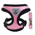 Dog Mesh Adjustable Harness & Leash
