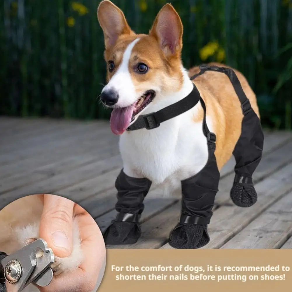 Pet  Boots Protect Paws Against Cold or Heat