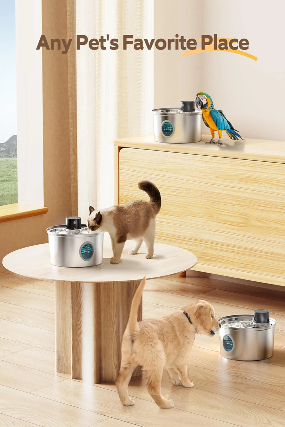 3.2L Dog/Cat Water Fountain, Auto Sensor