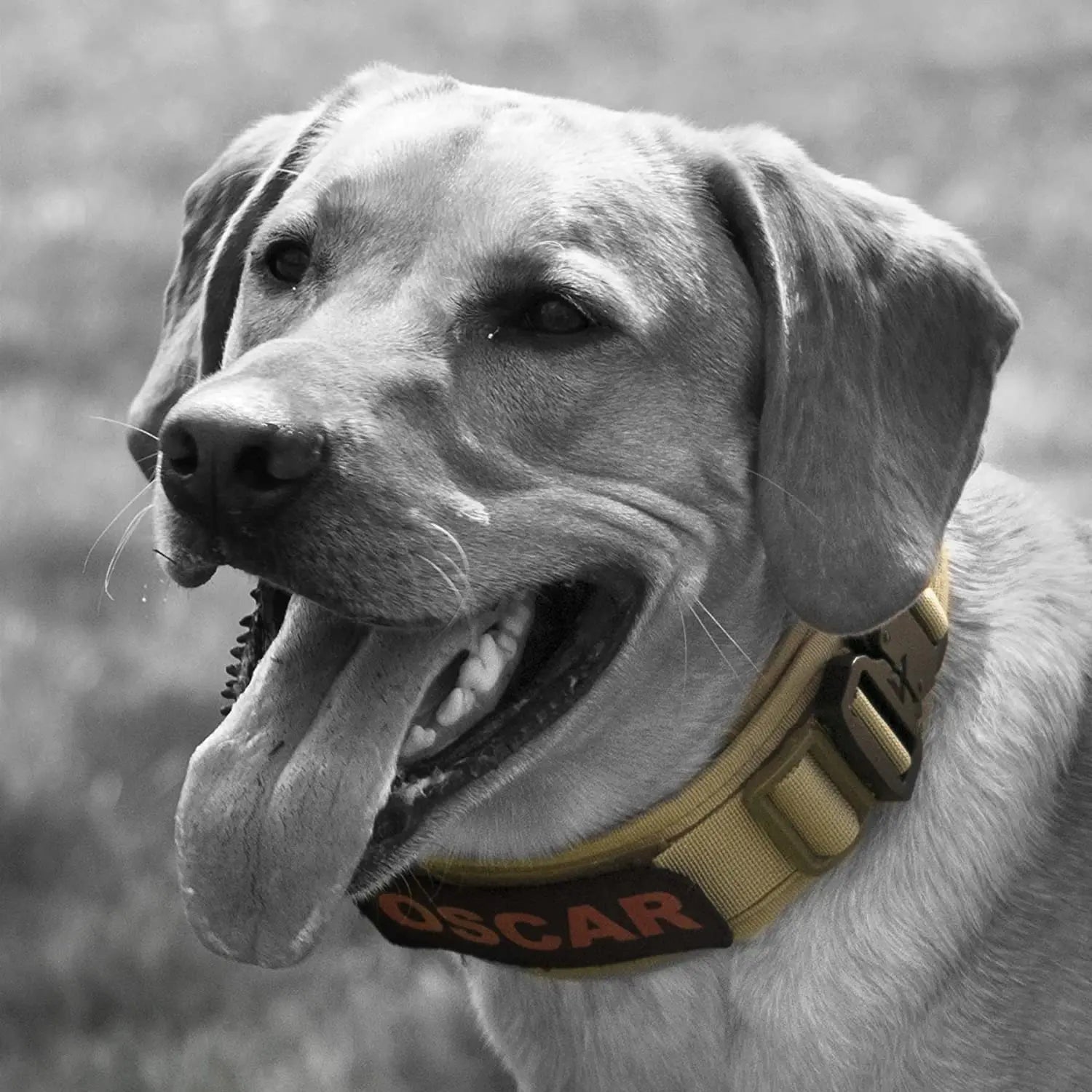 Military-Grade Tactical Dog Collar with Handle