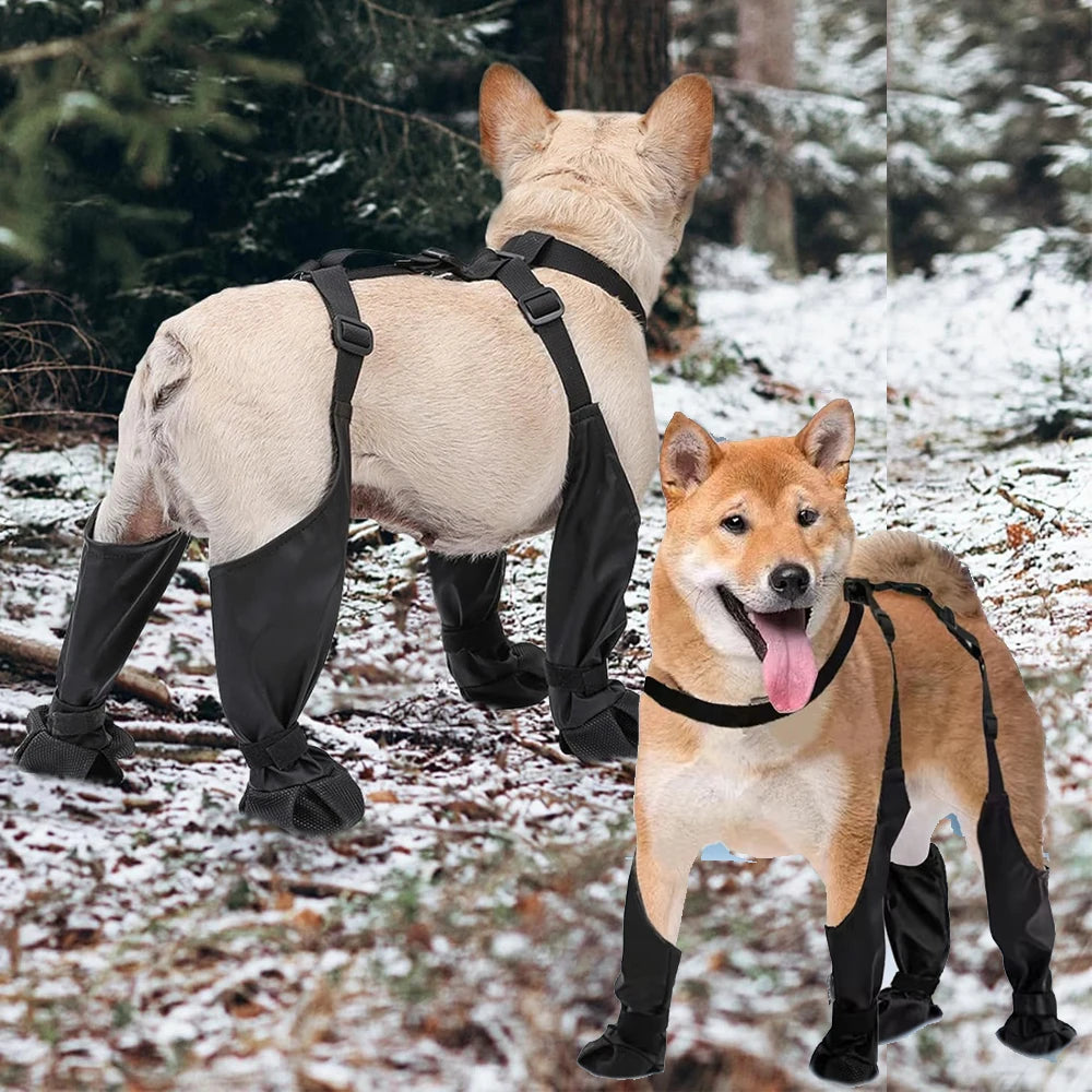 2025 Best Anti-Slip Dog Paw Protector Rain Booties