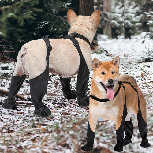 2025 Best Anti-Slip Dog Paw Protector Rain Booties