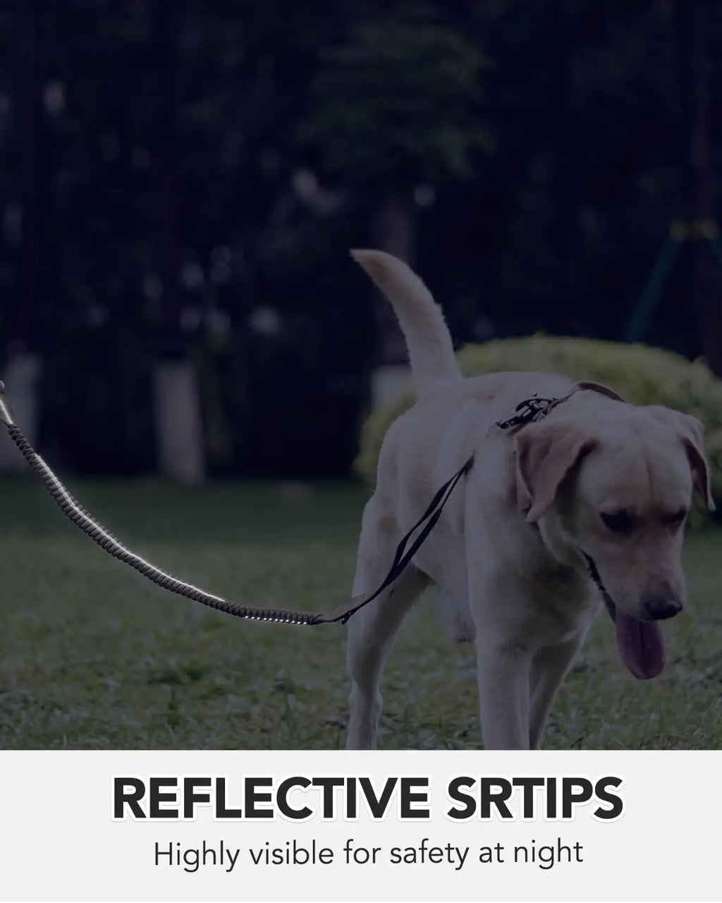Military-Grade Tactical Dog Collar with Handle