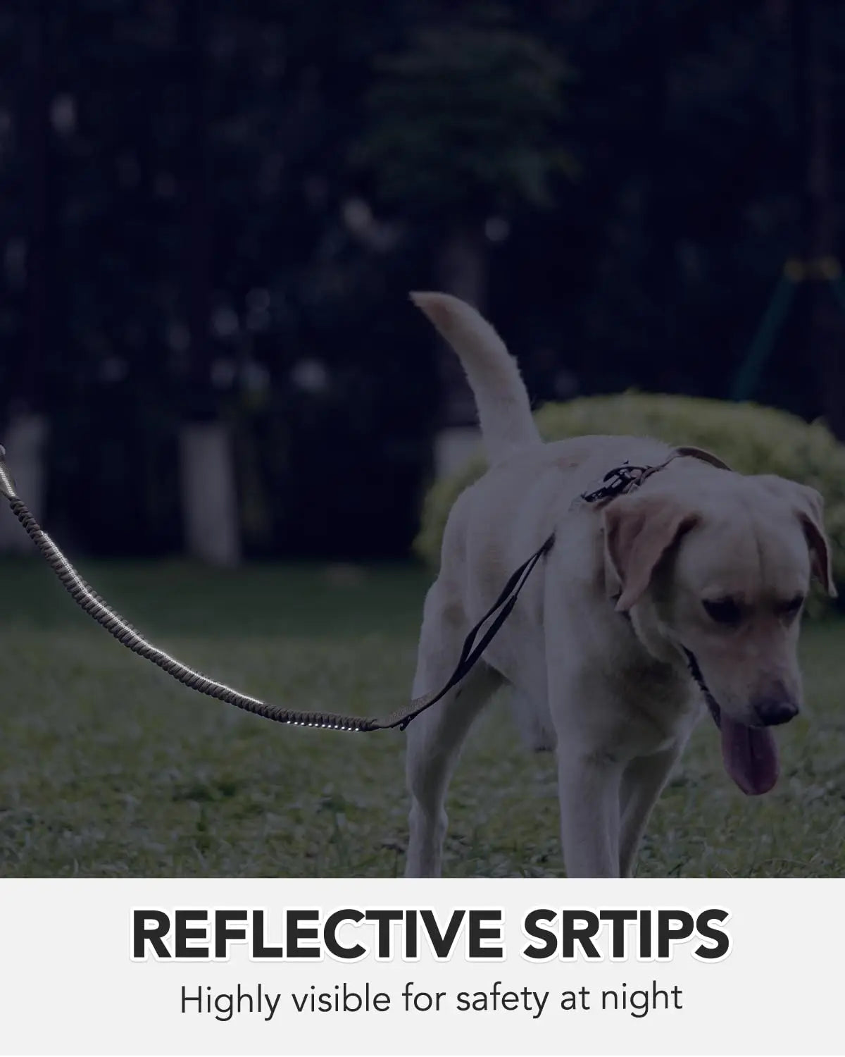 Military-Grade Tactical Dog Collar with Handle