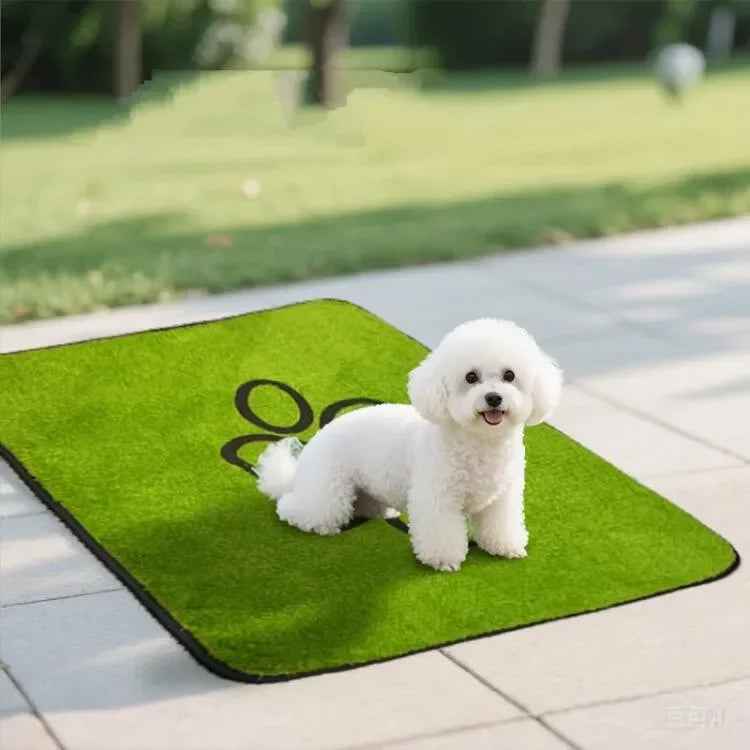 Anti-Leak Dog/Cat Potty Training Pad; 3 Sizes