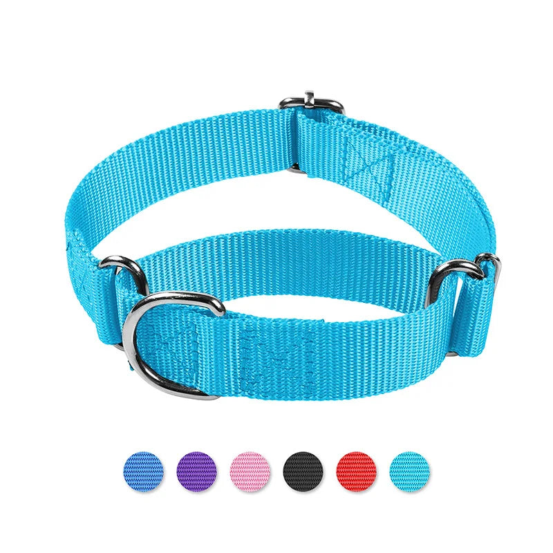 Adjustable Nylon Anti-Punch Dog Collar