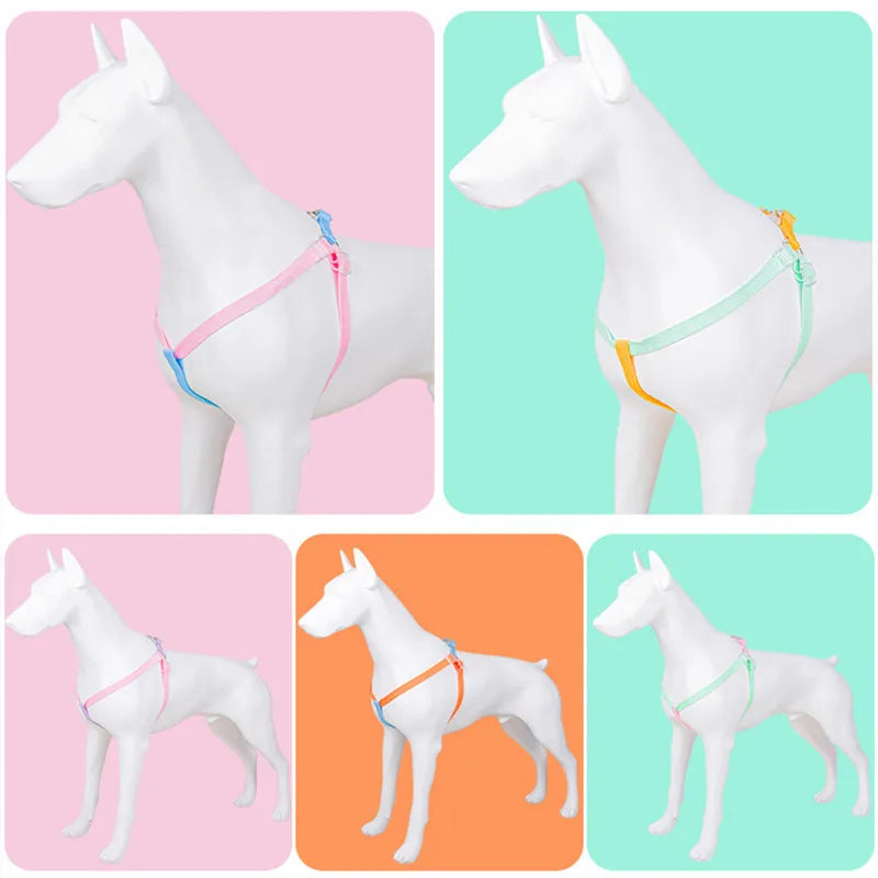 Dog Harness, Leash, Collar Set, No-Pull, Adjustable