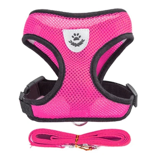 Cat Walking Vest Harness & Leash