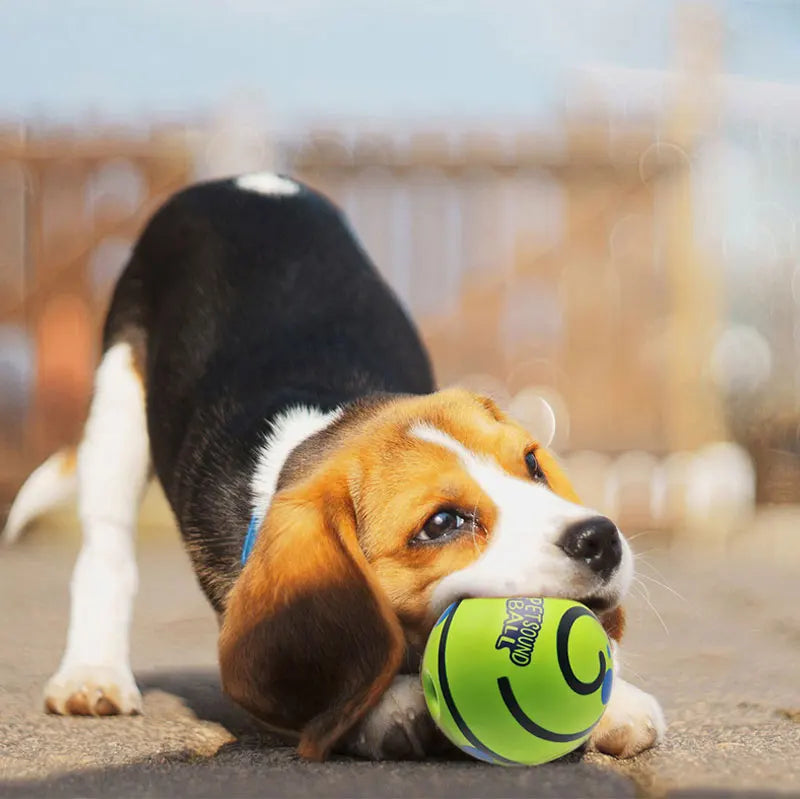 Wobble Wag Giggle Glow Ball Interactive Dog Toy