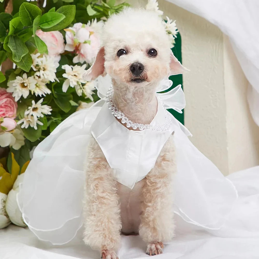 Luxury Cat/Dog Wedding Princess Dress