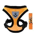 Dog Mesh Adjustable Harness & Leash