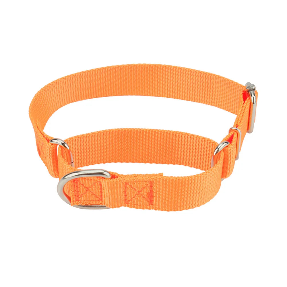 Adjustable Nylon Anti-Punch Dog Collar