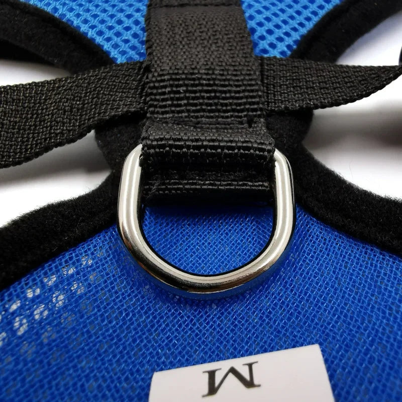 Dog Mesh Adjustable Harness & Leash