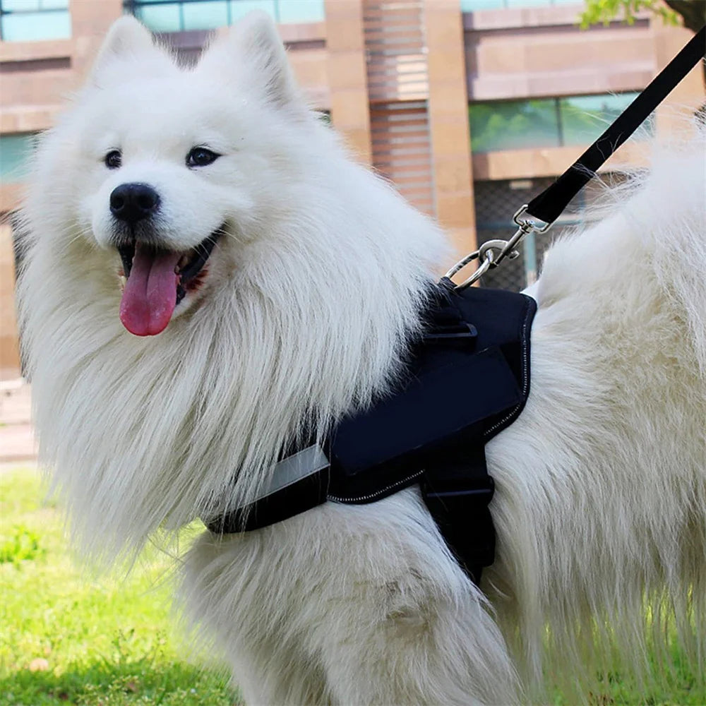 Dog Leash, Adjustable Hands-Free, Multifunctional