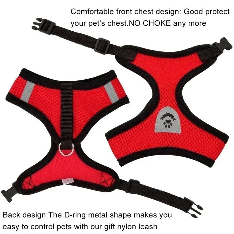 Cat Walking Vest Harness & Leash