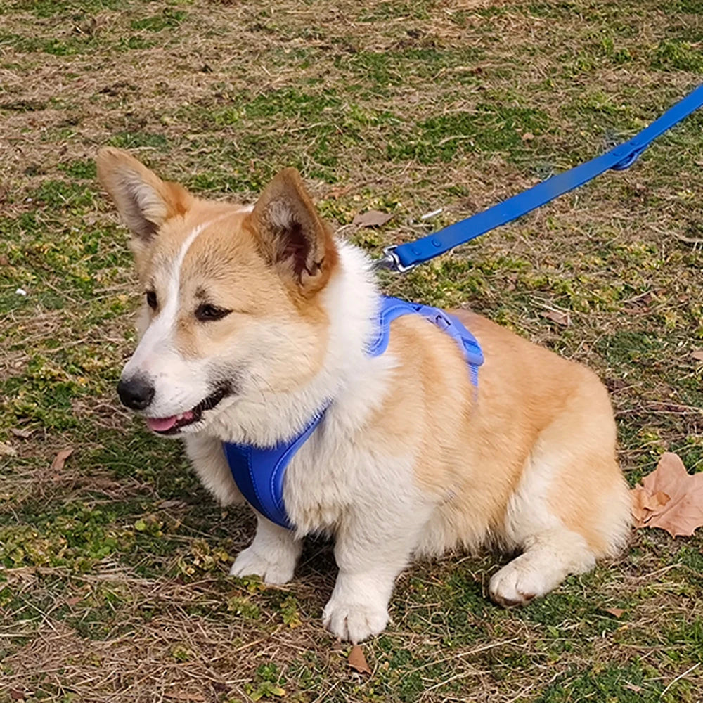 Breathable Lightweight Dog Harness Adjustable