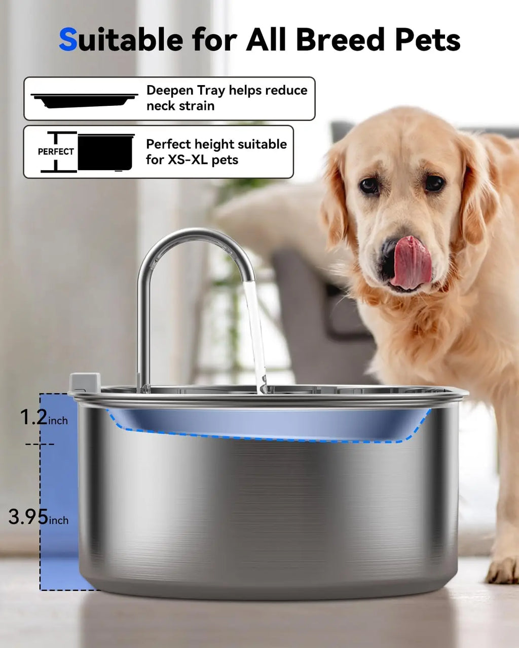 13L Stainless Steel Pet Fountain; Quiet Pump