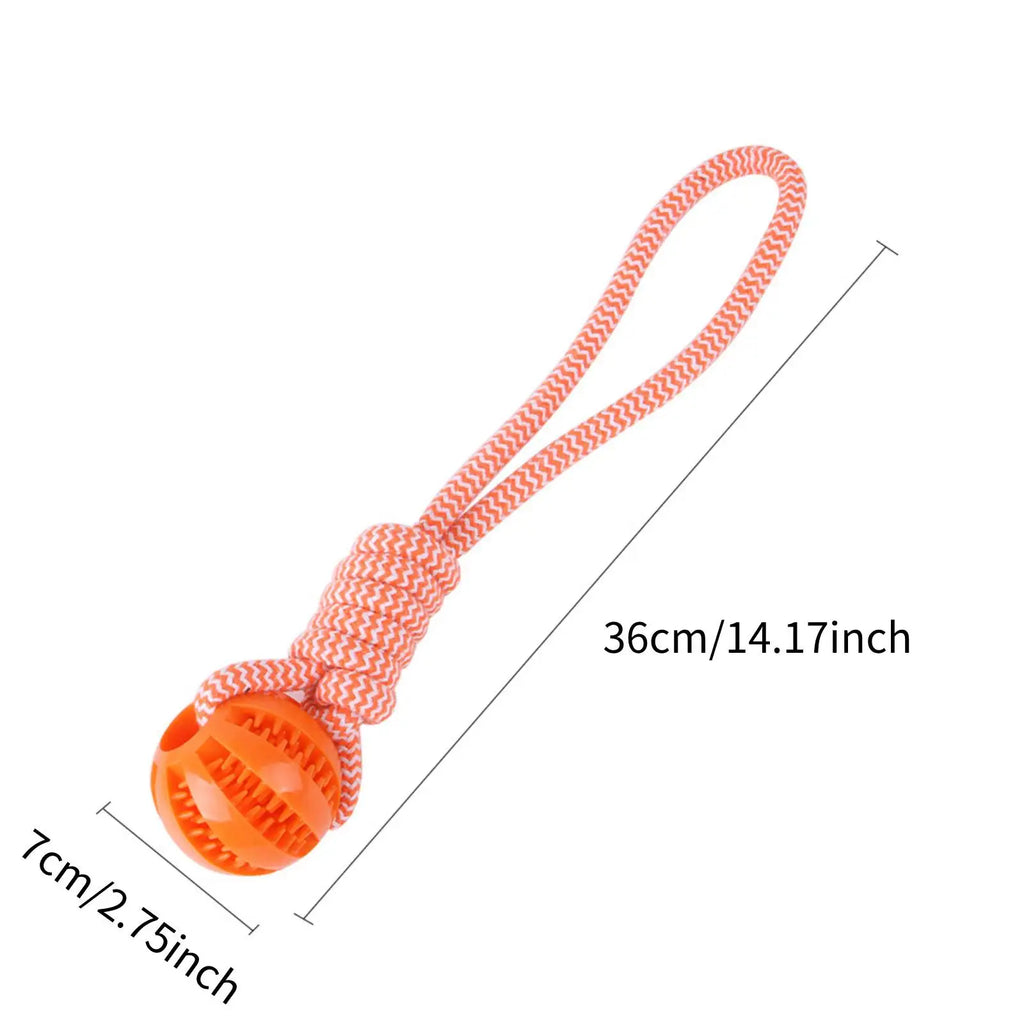 Dog Training Treat Ball, Interactive Educational Toy