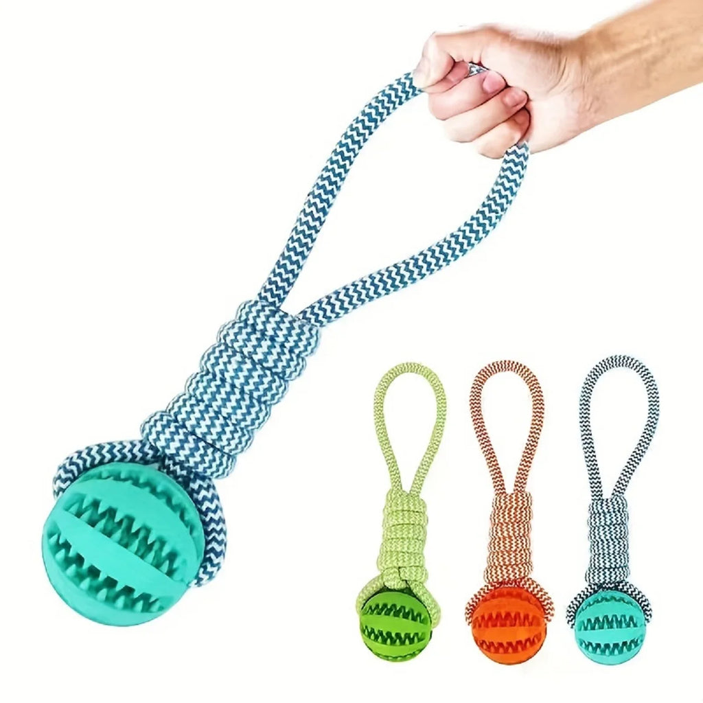 Dog Training Treat Ball, Interactive Educational Toy