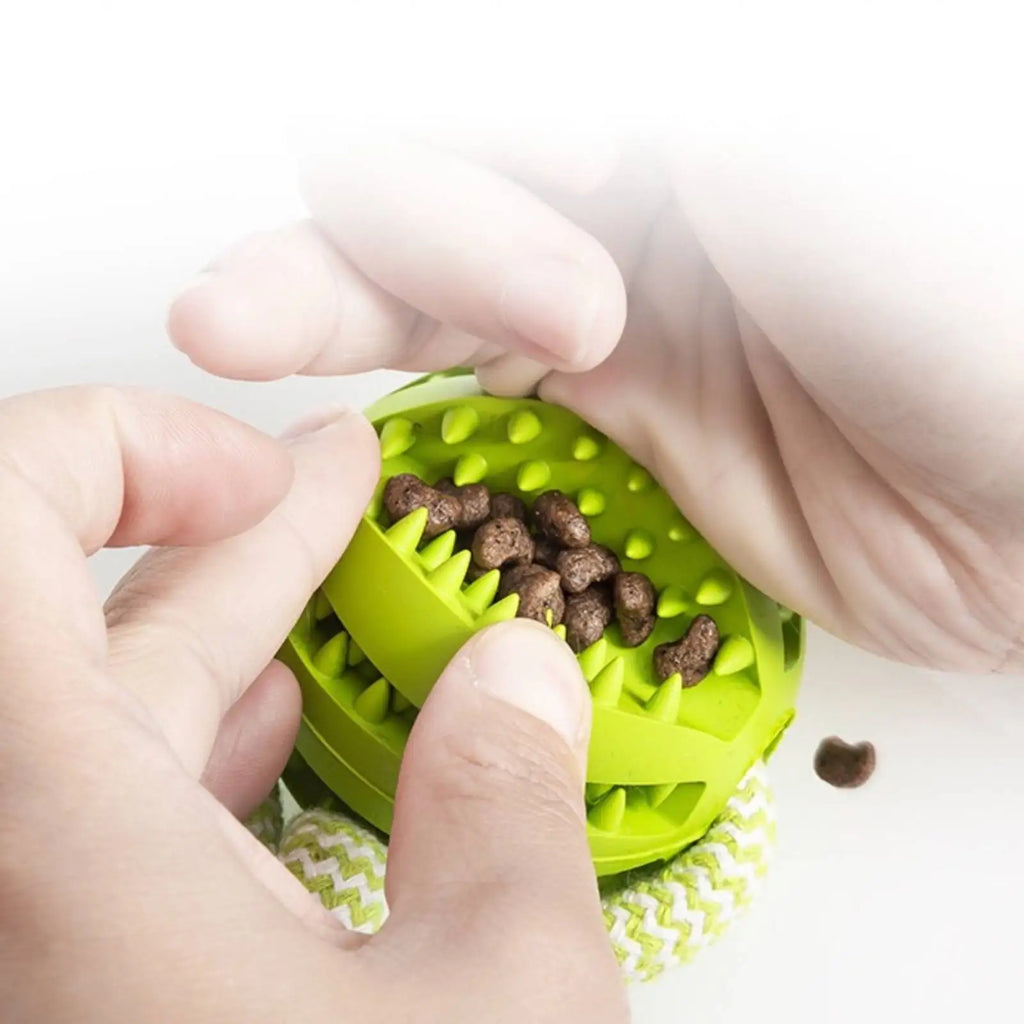 Dog Training Treat Ball, Interactive Educational Toy