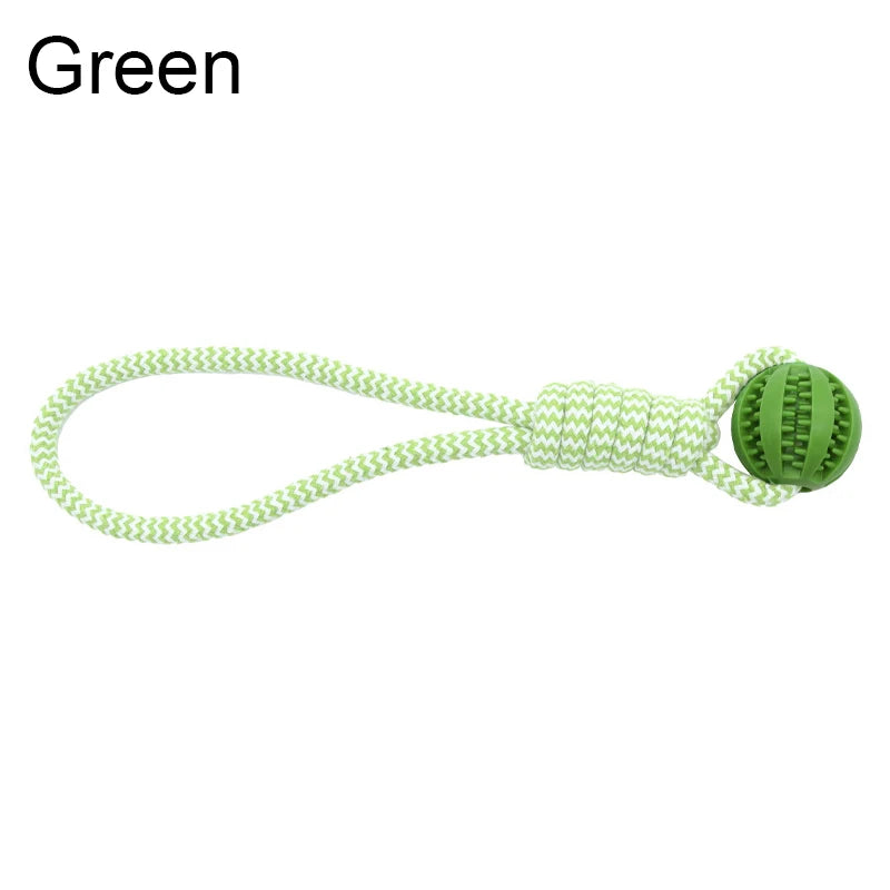 Dog Training Treat Ball, Interactive Educational Toy