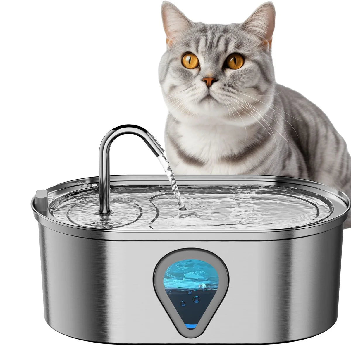 3.5L Pet Fountain with Water Level Window