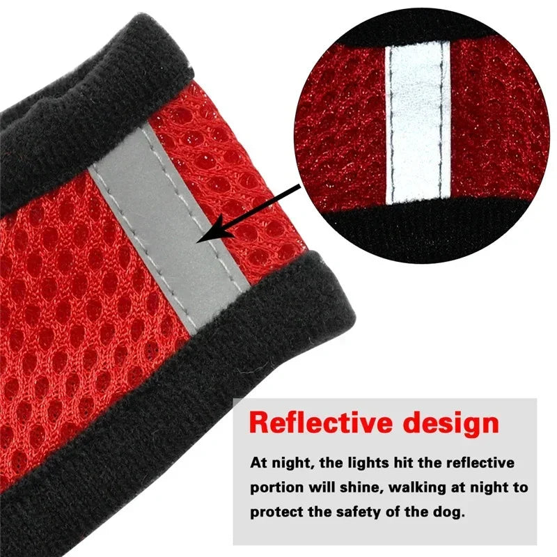 Cat Walking Vest Harness & Leash