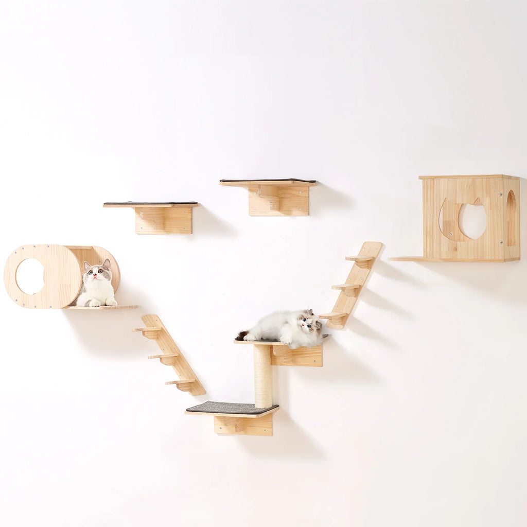 Wall Mounted Cat Shelves, Perches, Jumping Boards