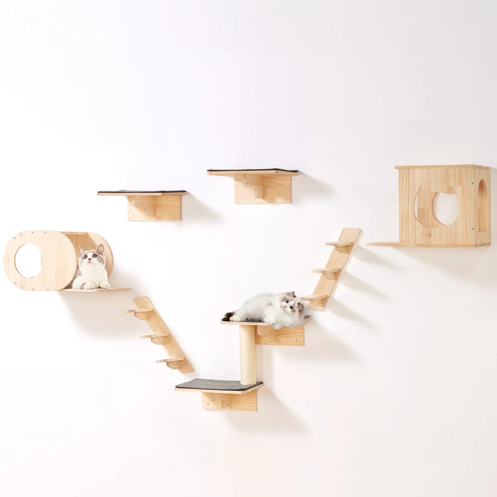 Wall Mounted Cat Shelves, Perches, Jumping Boards