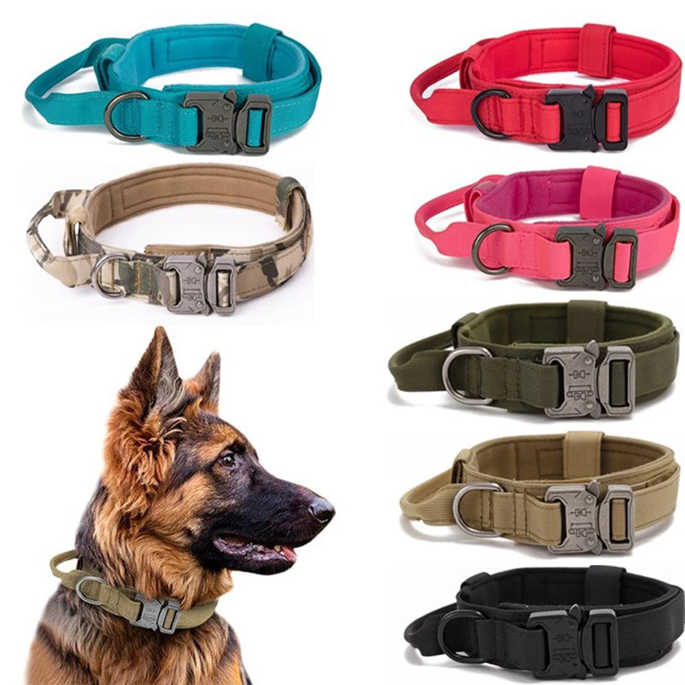 Tactical Training Collar, Leash Set or Separately