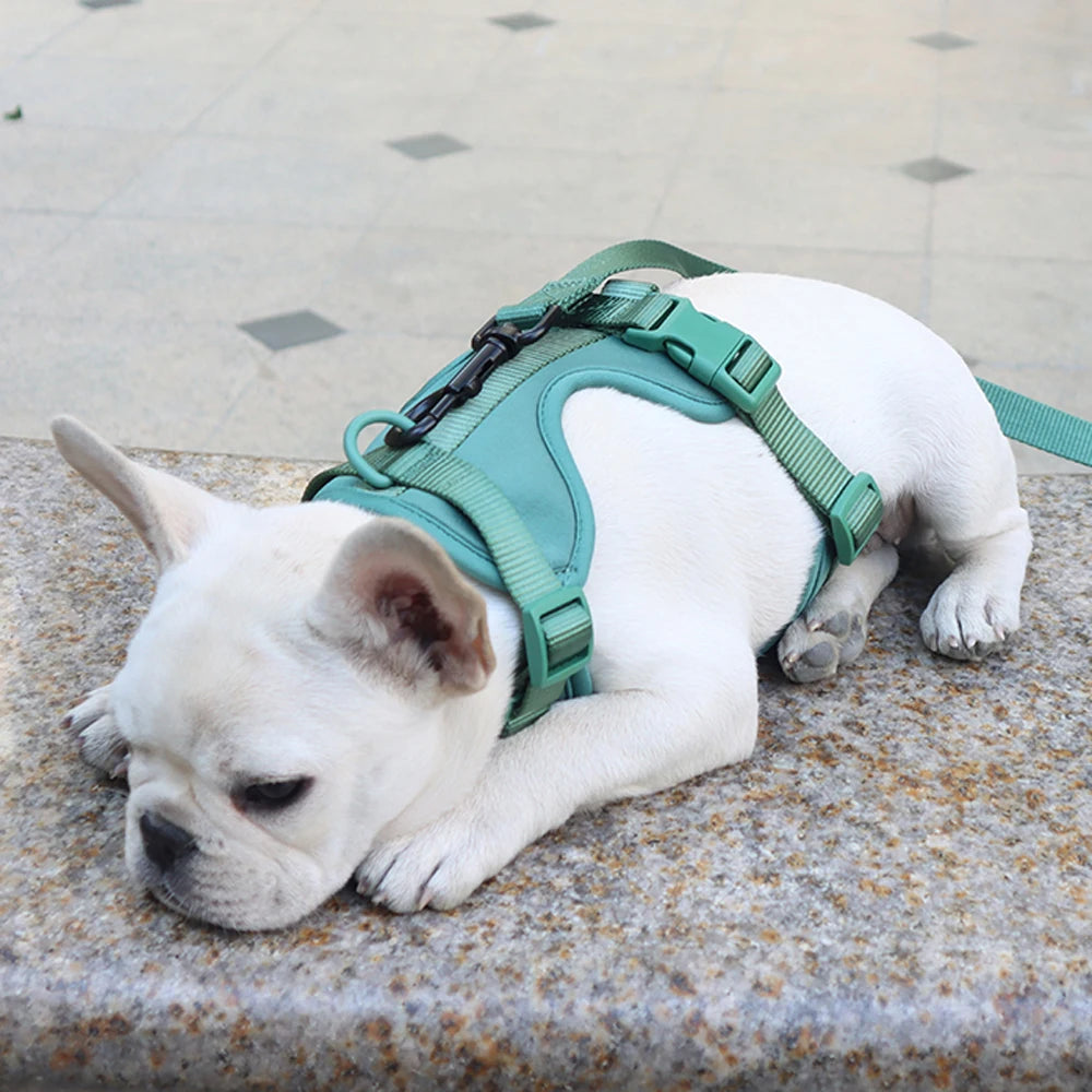 Breathable Lightweight Dog Harness Adjustable