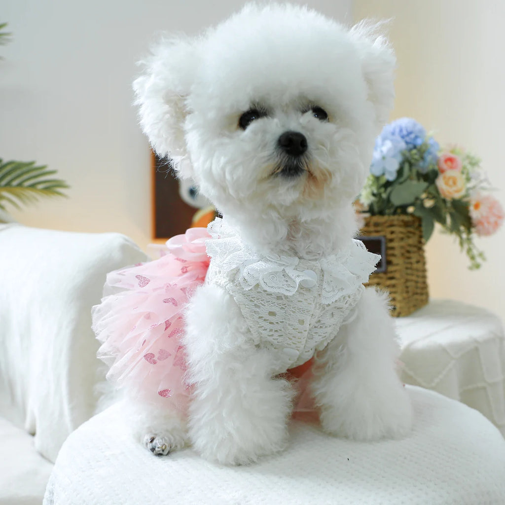 Puff Heart Pink Skirt Wedding/Princess Dress