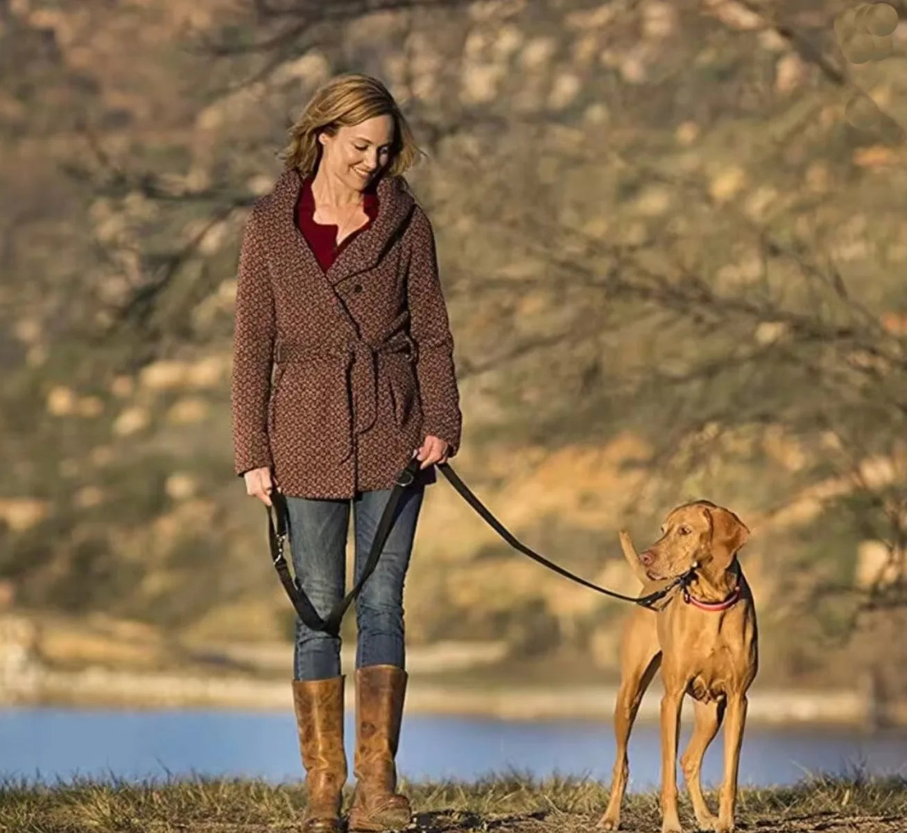 Adjustable Dog Leash for Walks, Training, Control