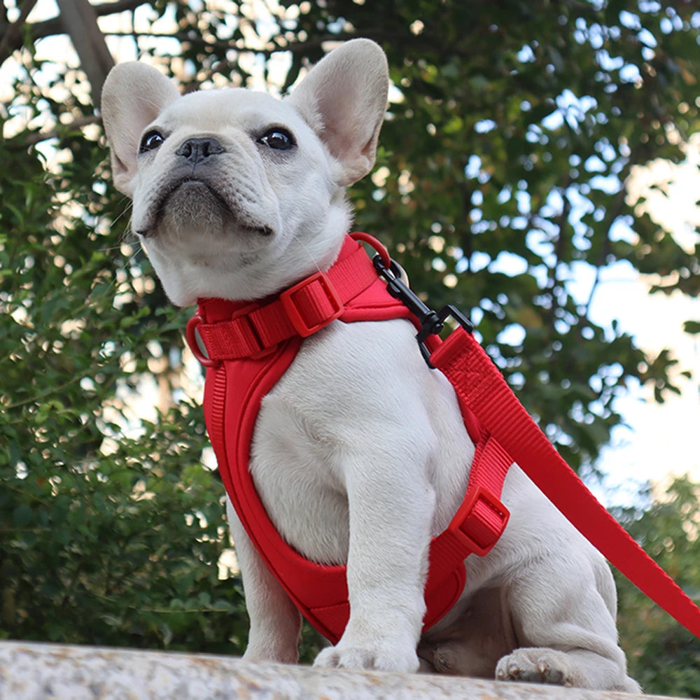 Breathable Lightweight Dog Harness Adjustable