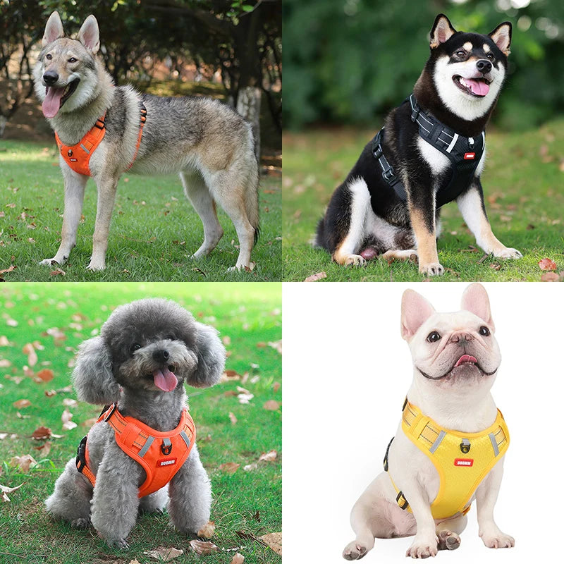 No-Pull, No-Choke, Adjustable Dog Harness Vest