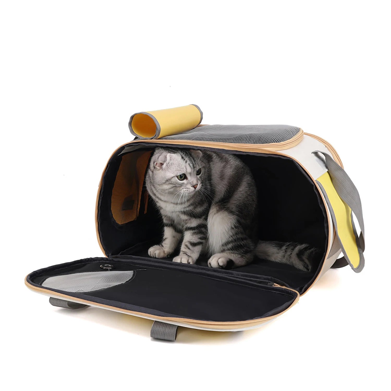 Airline Approved Foldable Pet Carrier for Cats/Dogs