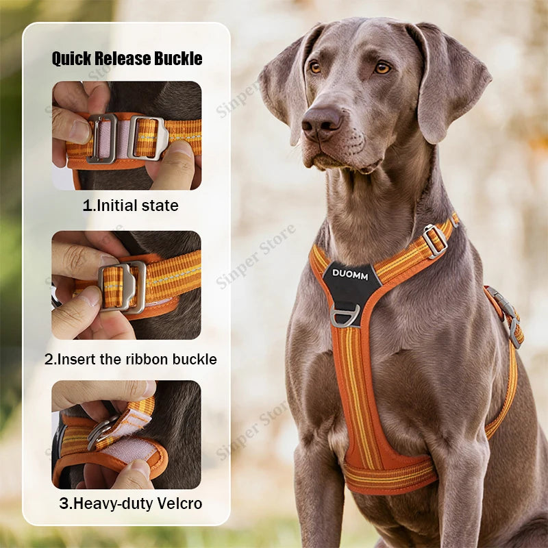 No-Pull, Heavy-Duty Vest Harness & Leash Set