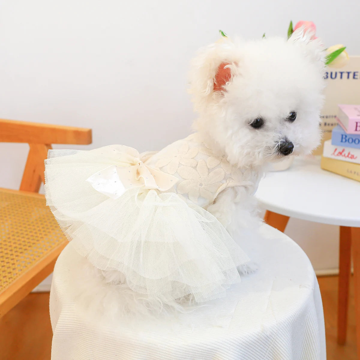 Couture Pet Wedding, Princess Dress