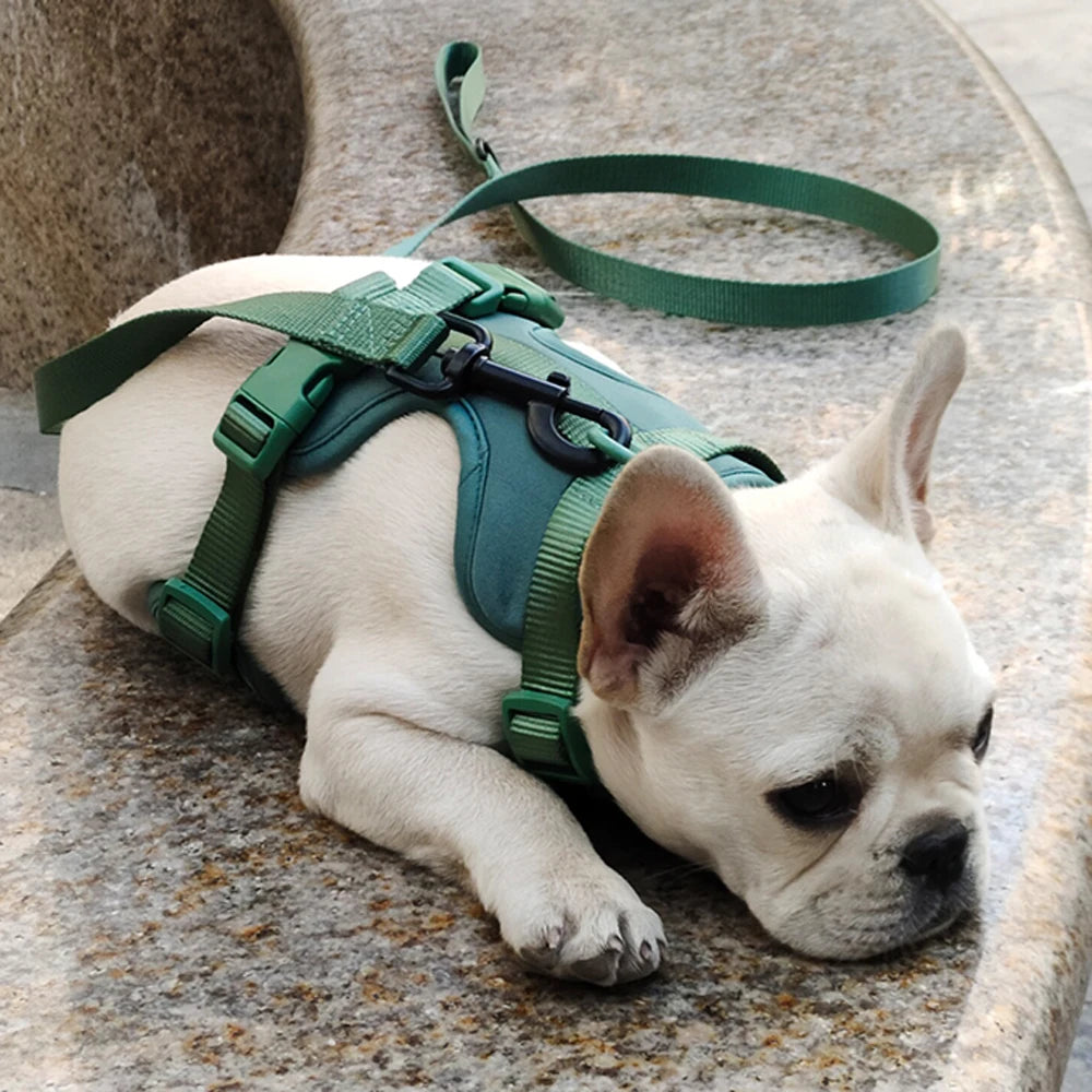 Breathable Lightweight Dog Harness Adjustable