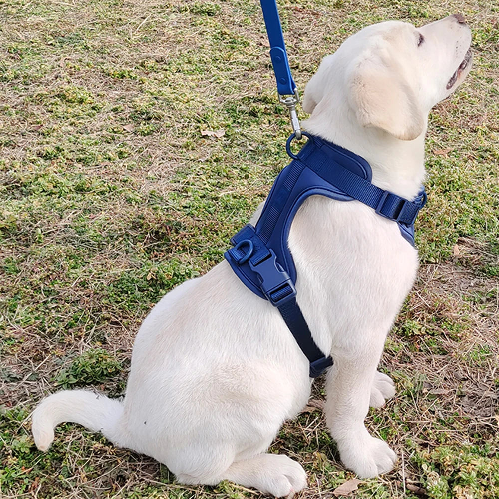 Breathable Lightweight Dog Harness Adjustable