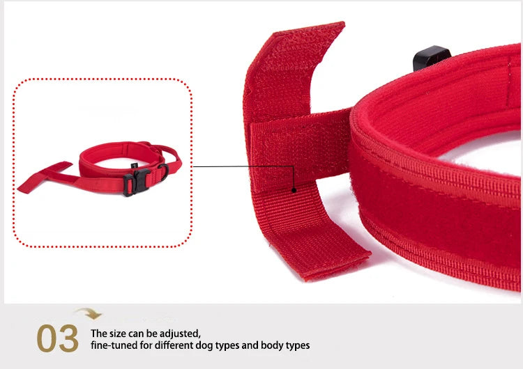 Tactical Training Collar, Leash Set or Separately