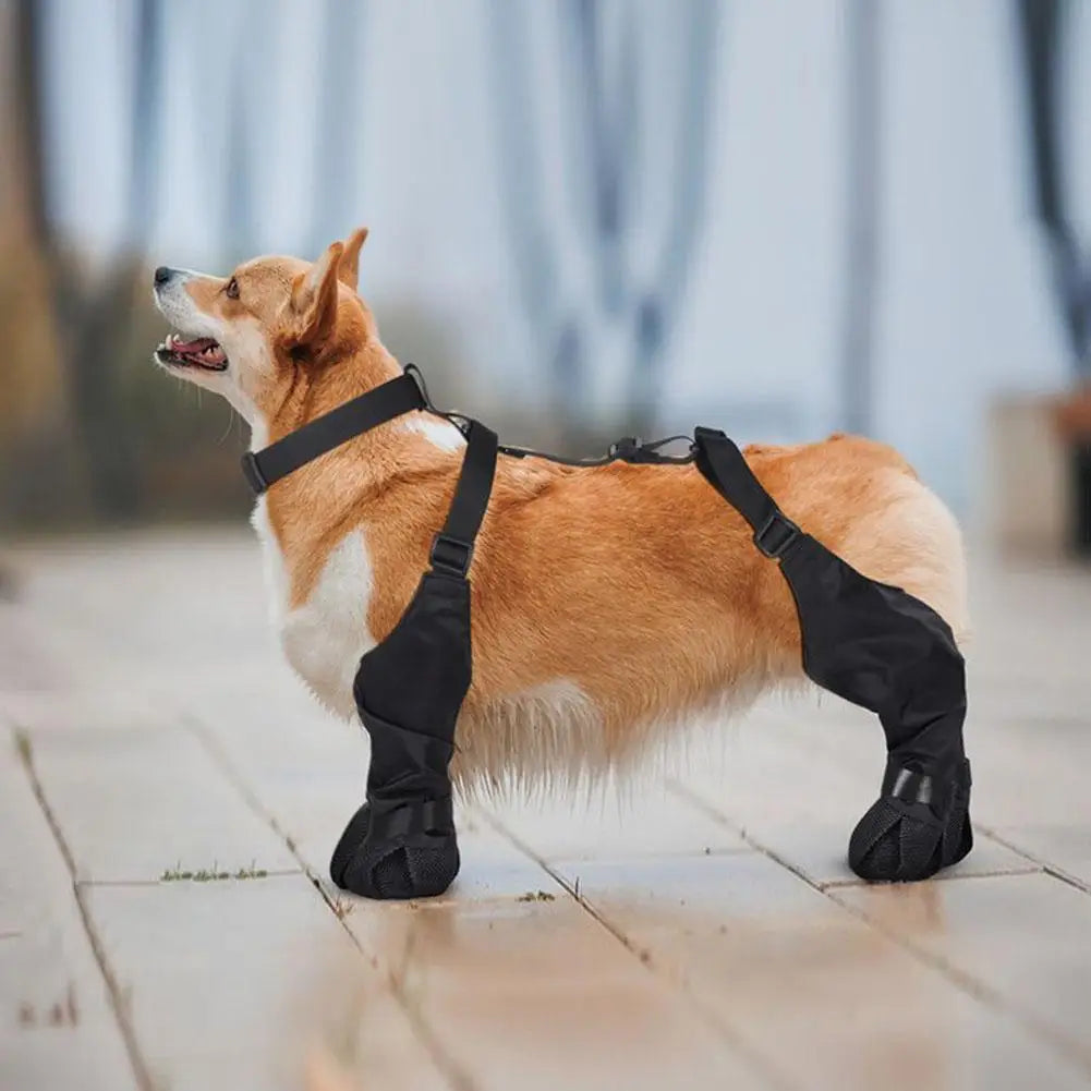 Pet  Boots Protect Paws Against Cold or Heat